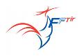 _wsb_117x81_Logo_New_FFT